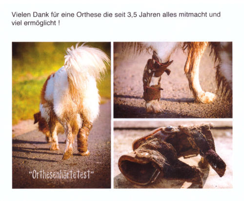 Kundendanksagung Pfaff TO