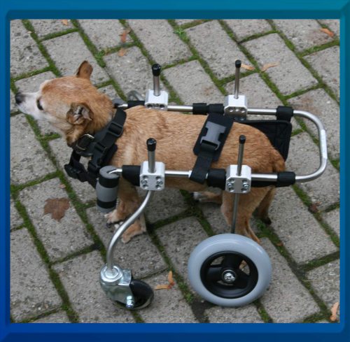 Hund mit 4rad Rollwagen Pfaff TO
