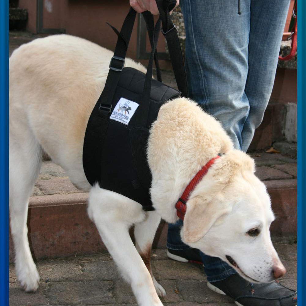 Tragehilfe Pfaff Tierorthopaedie