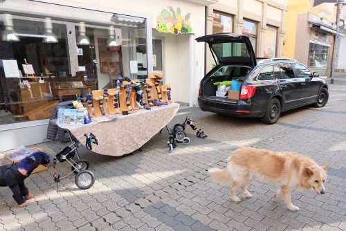 Pfaff Tierorthopädie in Bingen