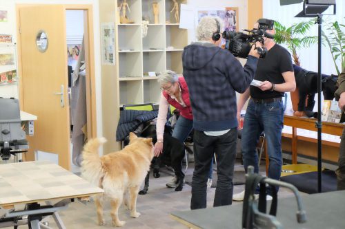 Pfaff Reportage im Geschäft