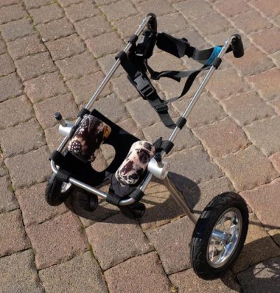 Detailbild Hunderollwagen