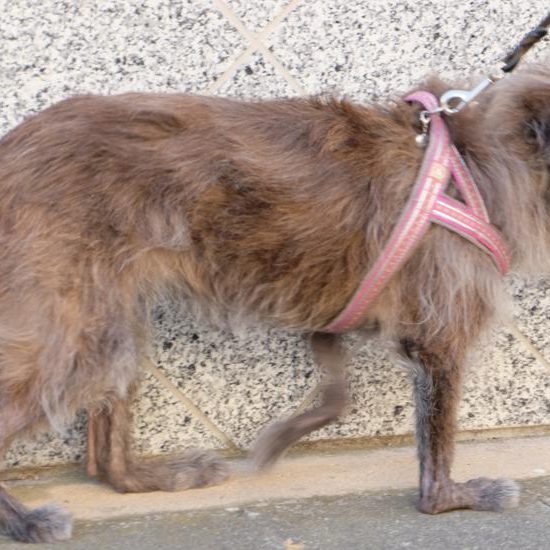 Durchtritt Gangbeispiel