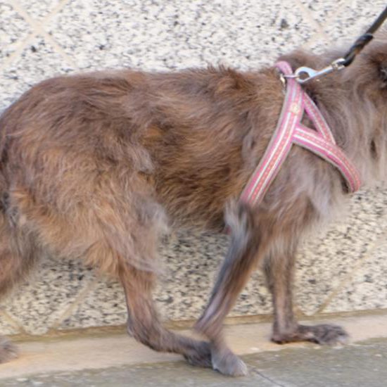 Durchtritt Gangbeispiel