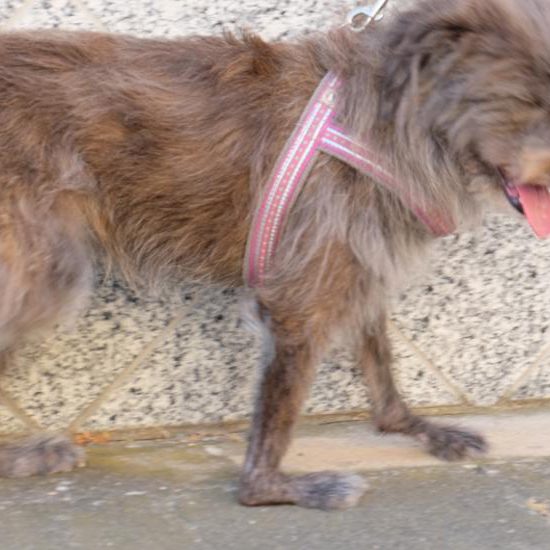 Durchtritt Gangbeispiel