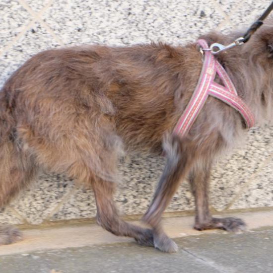 Durchtritt Gangbeispiel