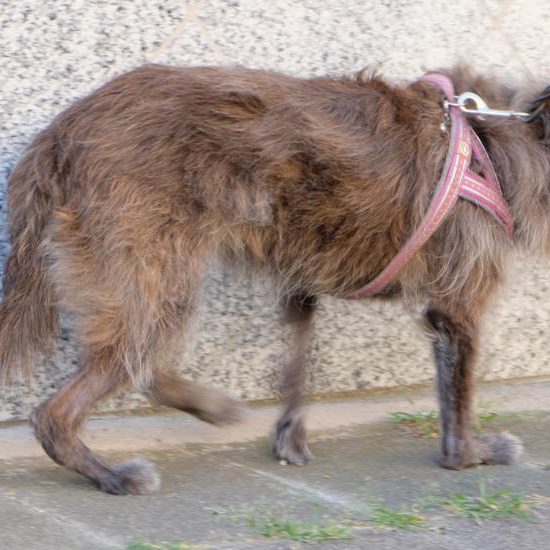 Durchtritt Gangbeispiel