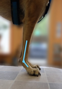 Durchtrittigkeit Level