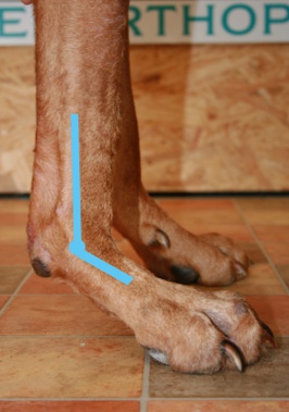 Durchtrittigkeit Level