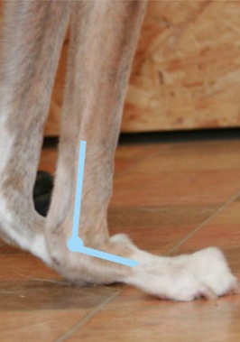 Durchtrittigkeit Level