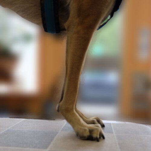 Schaubild_Durchtritt