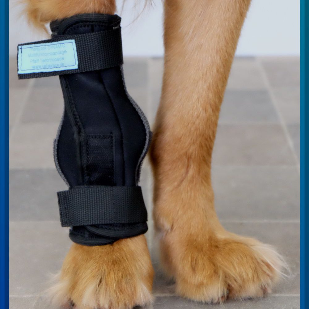 TheraLock Dynamic Bandage