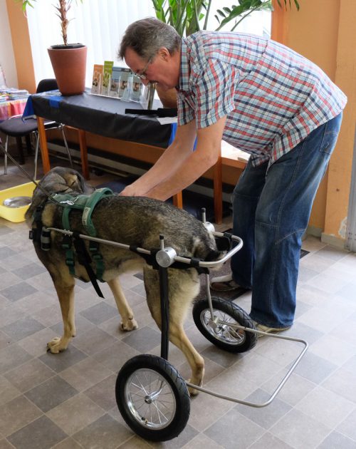 Meier mit Rollwagen