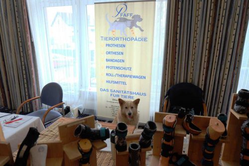 Seminarfoto Kongress