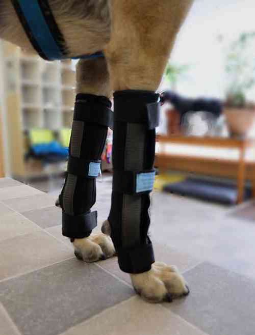 TheraLock Bandagen extra lang