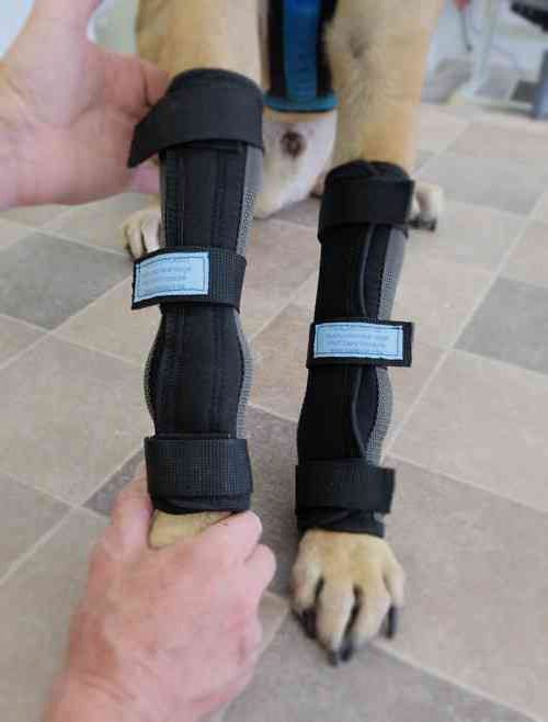 Lange Ausführung TheraLock