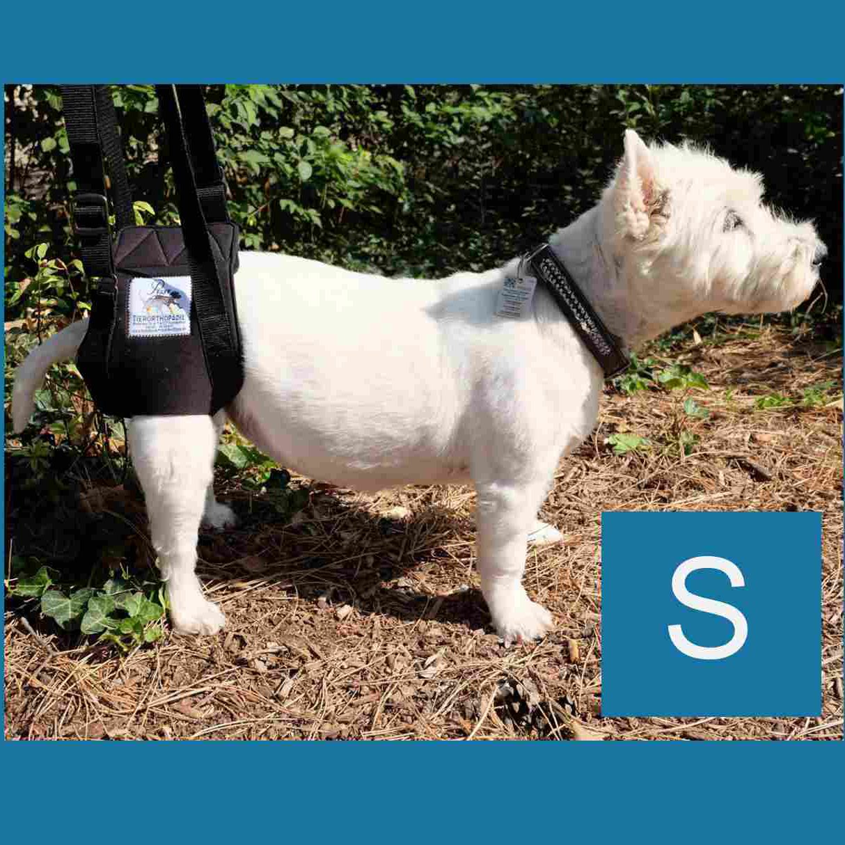 Tragehilfe S am Hund