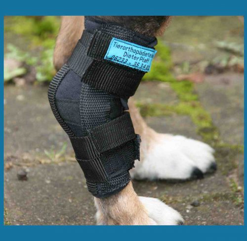 Tarsalbandage Hund