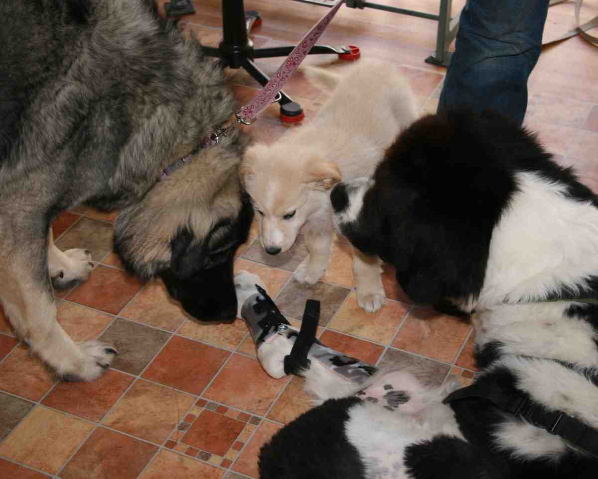 Expertenrunde
