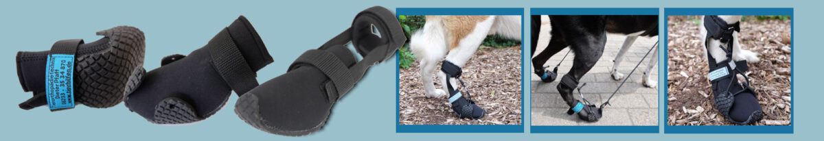 Pfotenschutz – Pfaff Tierorthopädie