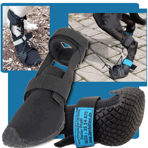 Pfotenschutz