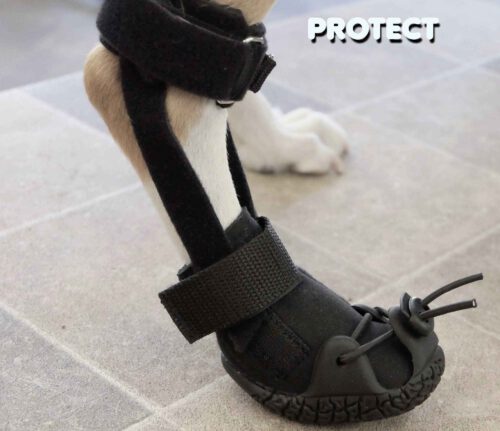 ProtectShoe