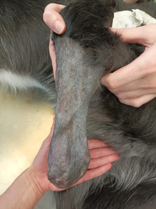 Kundenfoto Amputation