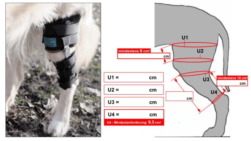 Masstabelle Knieschiene