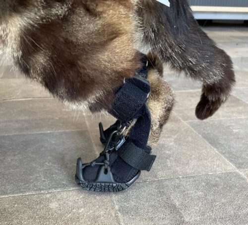 Line2 Lift Hinterlauf